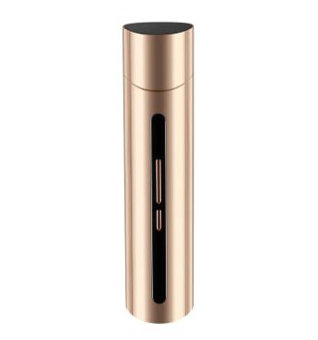 Red Light RF Facial Rejuvenation Beauty Device